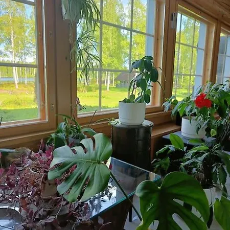 Upea Rantahuvila, 15min Joensuuhun Villa